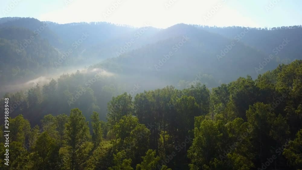 aerial view of the dawn forest fog aerial view of the dawn forest fog