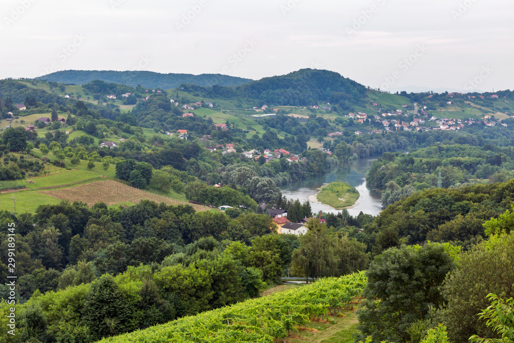 Summer landscape with Drava River, Slovenia.
