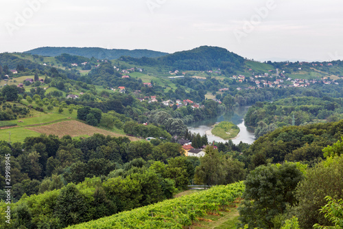 Summer landscape with Drava River, Slovenia.