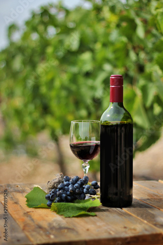 Photography Still life of a red wine bottle, glass and grape strain