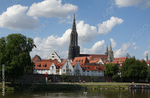 Donau und M  nster in Ulm