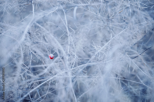 Winter natural texture background.