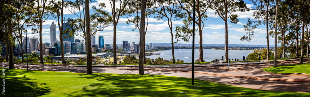 Naklejka premium Panorama of lemon scented gum trees and Perth Central Business District from Kings Park, Perth, Australia on 25 October 2019