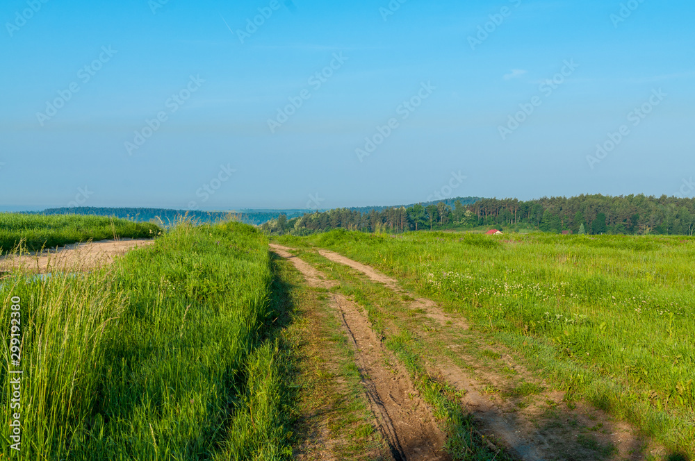 Polna droga szutrowa w otoczeniu zielonej trawy na obszarach wiejskich