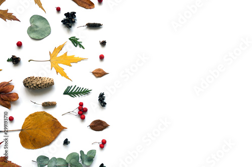 Autumn leaves pattern.