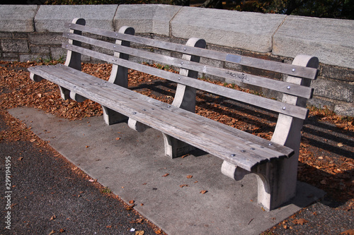 A park bench during the foliage