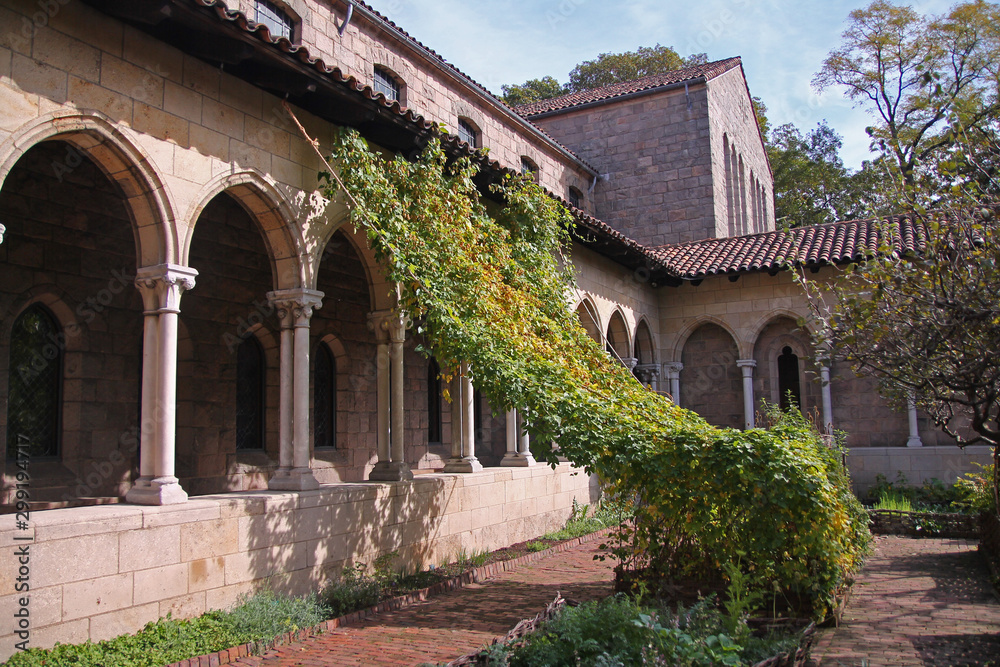 A veil of ivy on the cloisters