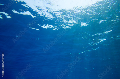 Underwater view of the sea surface © Pakhnyushchyy