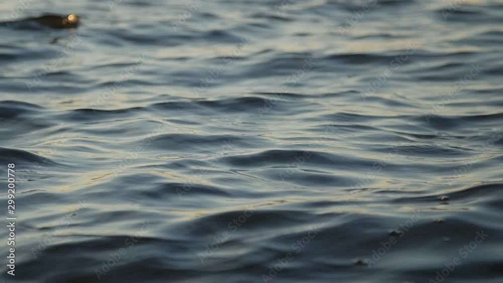 Movement of water. Amazing close-up of the texture of nature works ripples on the water. Background meditative and hypnotic effect. Movement of water. Amazing close-up of the texture of nature works ripples on the water. Background meditative and hypnotic effect.