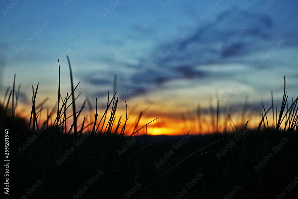 Blick auf de Sonnenuntergang  durch Gras