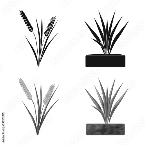 Isolated object of crop and ecological sign. Set of crop and cooking vector icon for stock.