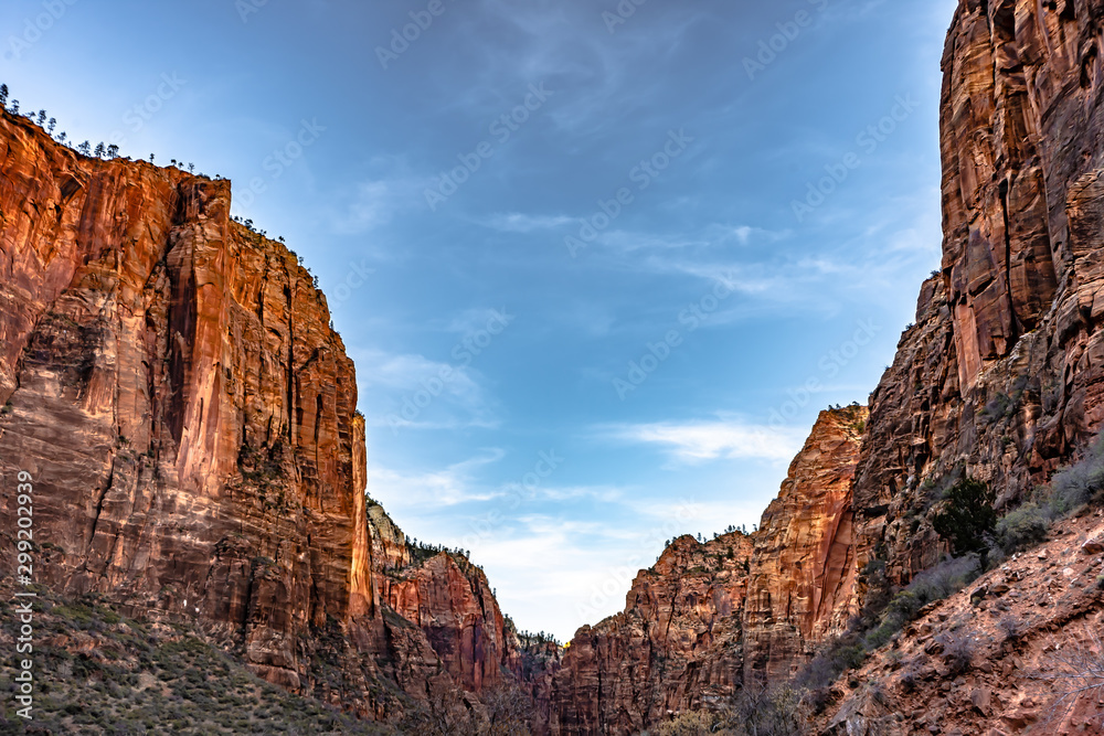 Zion National Park , Utah USA.