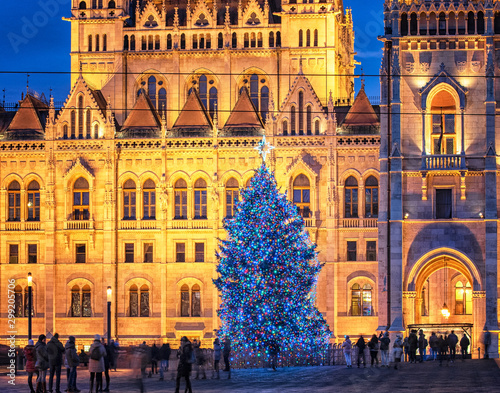 Nice Christmas tree in fron...