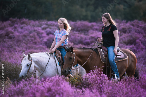 Billede på lærred zwei Westernreiterinnen reiten durch die blühende Heide mit ihren beiden Pferden