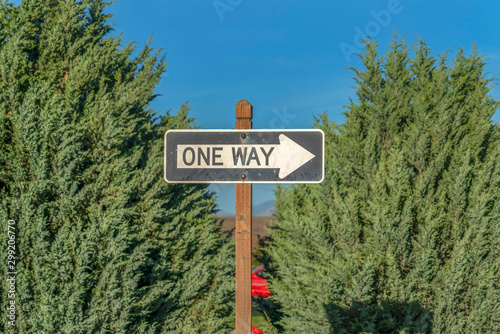 Close up of a One Way road sign against tree leaves and blue sky on a sunny day photo