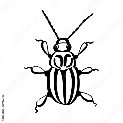 Hand drawn vector beetles. Black and white insects for design, icons, logo or print. Drawn with dots. Great illustration for Halloween. © Ангелина