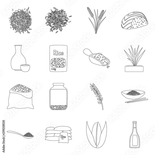Isolated object of diet and cooking icon. Collection of diet and organic vector icon for stock.