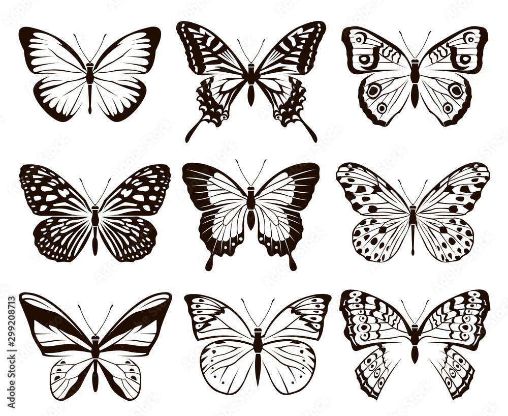 Naklejka monochromatyczny zbiór motyli na białym tle