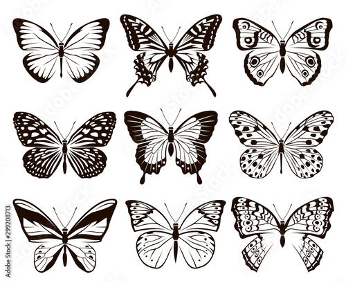 monochrome collection of butterflies isolated on white background