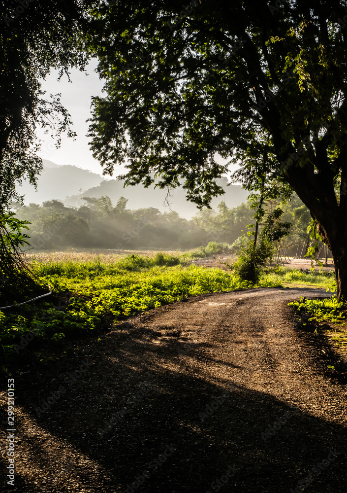 Obraz premium Gravel road with morning atmosphere