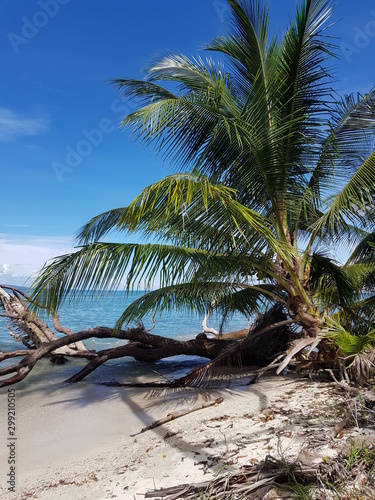 Plage caraibes