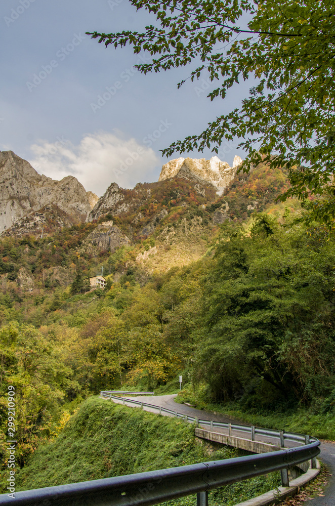 Winding road in autumnal context, with green yellow foliage, travel and getaway theme