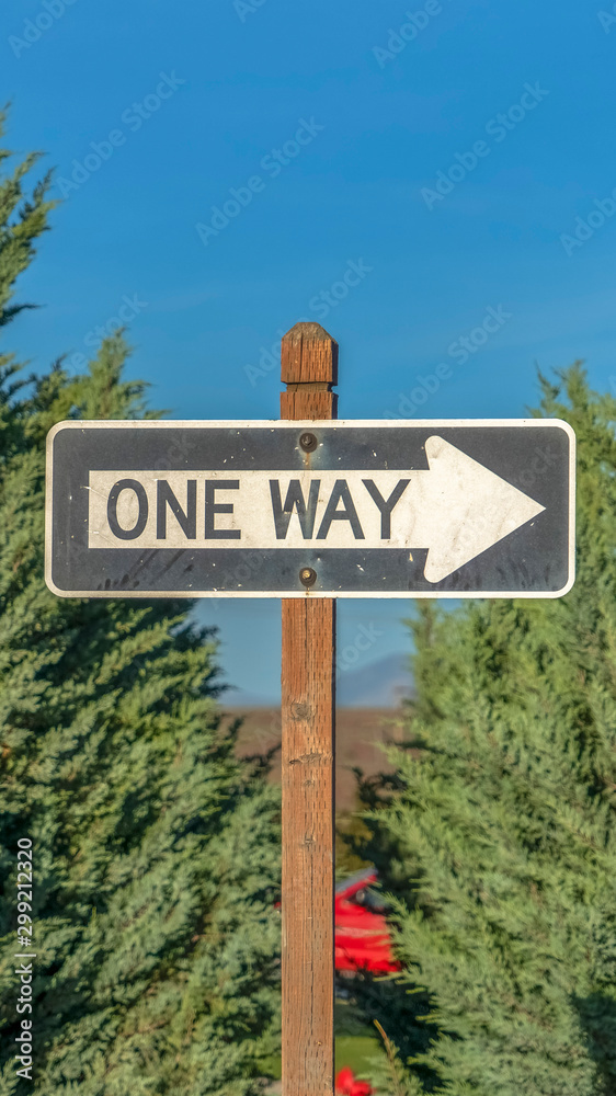Fototapeta premium Vertical Close up of a One Way road sign against tree leaves and blue sky on a sunny day