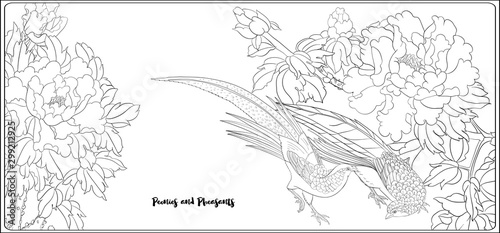 Peony tree branch with flowers with pheasants in the style of Chinese painting on silk Coloring page for the adult coloring book. Outline hand drawing vector illustration..