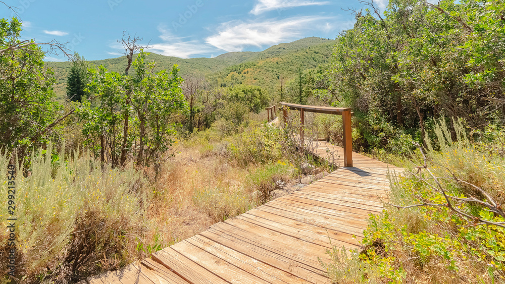 Panorama frame Wooden walkway with handrails in the forest with view of mountain and blue sky