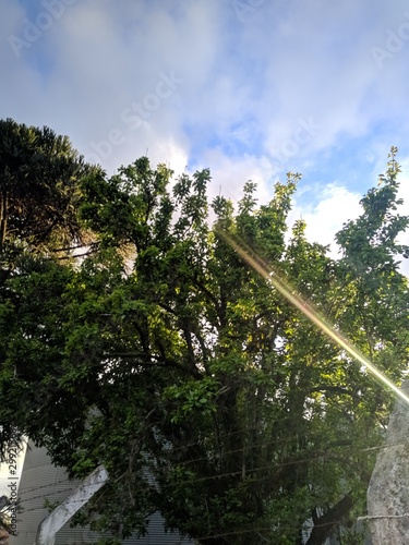 Vorschaubild Video Security