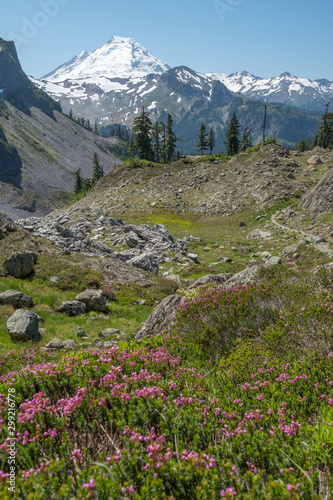 Looking along Chain Lakes trail to views of Mount Baker