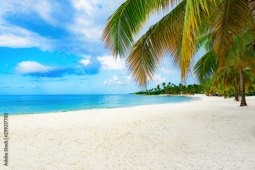 paradise tropical beach © dbrus