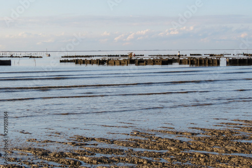 Charente-Maritime - Pécheurs de crevettes près de sparcs à huitres photo