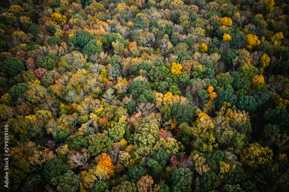 Aerial of Sunset with Fall Foliage Aerial of Sunset with Fall Foliage