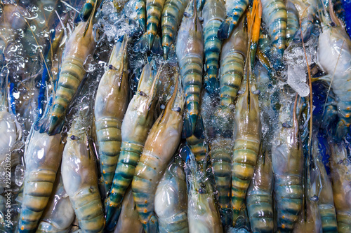 Live prawns surrounded by some ice in a seafood market.