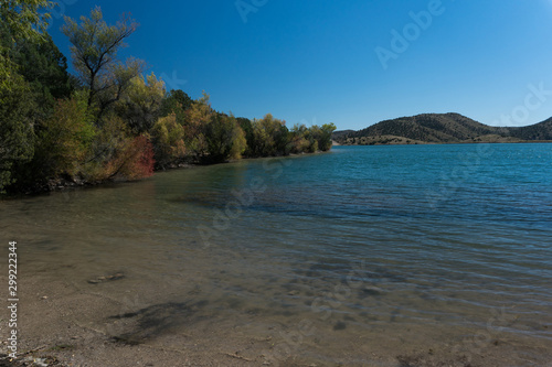 Fototapeta Naklejka Na Ścianę i Meble -  Trees along Bill Evans Lake in New Mexico.