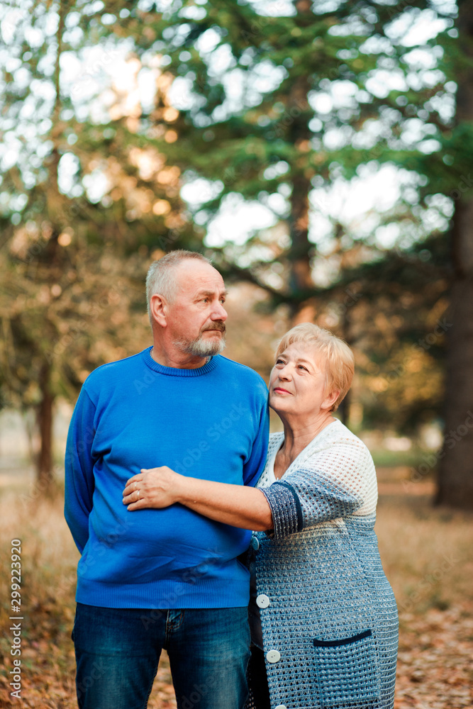 Fototapeta premium Pensioners walk in the park. Happy old age.
