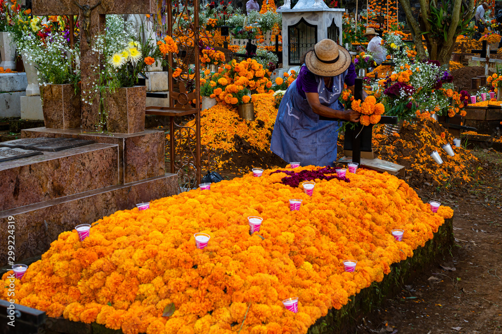 Fotografia do Stock: La dama está decorando la tumba con flores de  cempasúchil el día de los muertos en Michoacán, México. | Adobe Stock