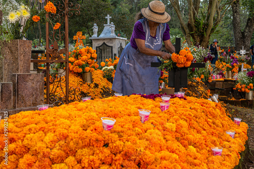 La dama está  arreglando la tumba con flores de cempasúchil en un cementerio de Michoacán, México. photo