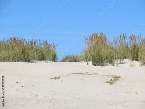 Wallpaper Mural Clear Blue Sky, Marram Grass, and White Sand at Shinnecock East County Park in Southampton, Long Island, New York. Torontodigital.ca