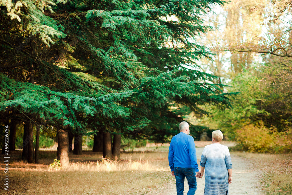 Pensioners walk in the park. Happy old age. Pensioners walk in the park. Happy old age.