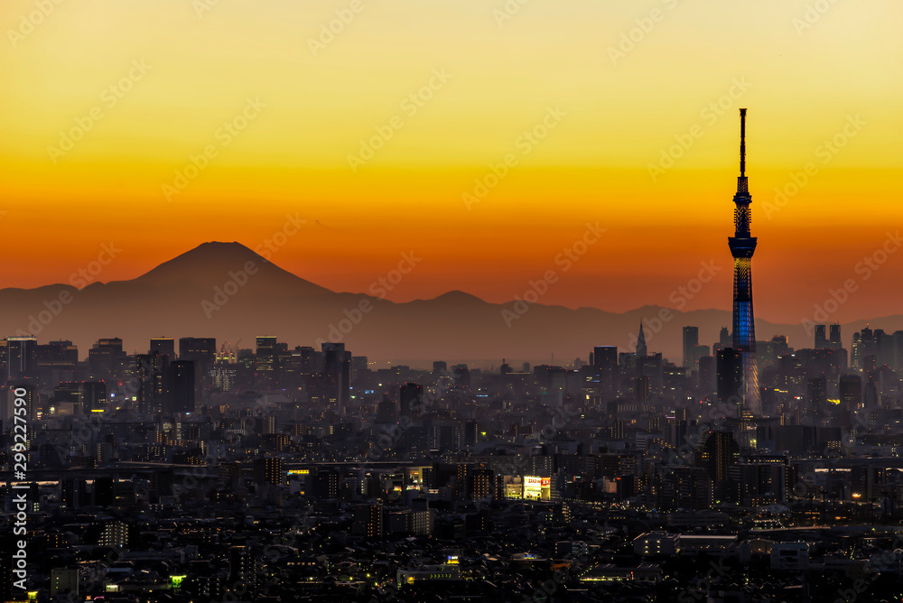 Fuji mountain and Tokyo Skytree at Sunset, Tokyo, Japan