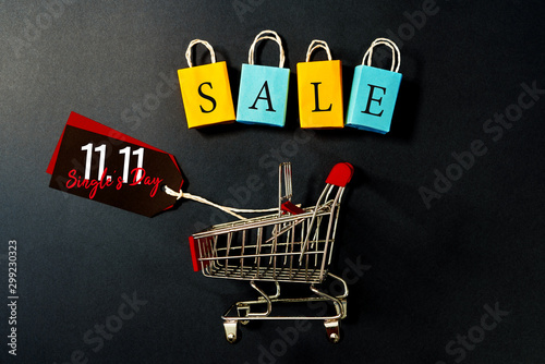 shopping cart and shopping bag, year-end sale, 11.11 singles day sale concept