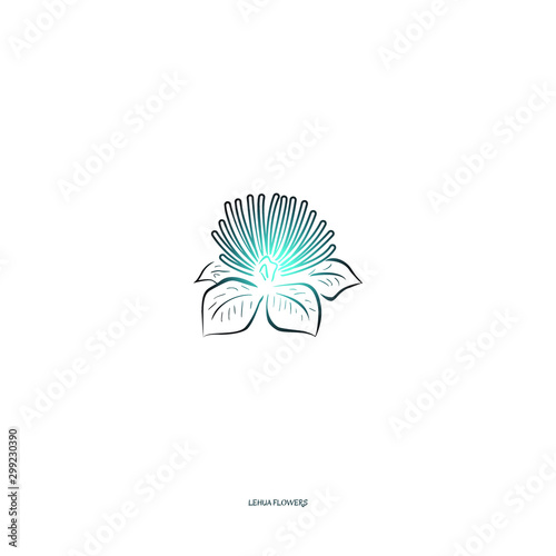 lehua flower vector