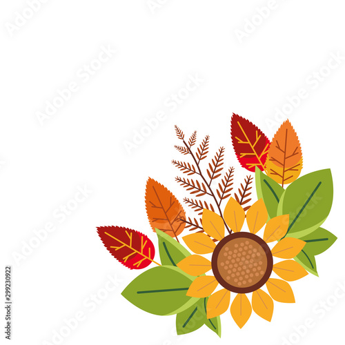 hello autumn season sunflower decoration