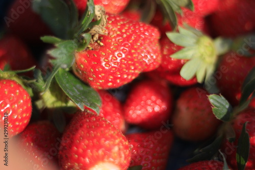 Fresh Red Strawberry Fruit Rich in Vitamins