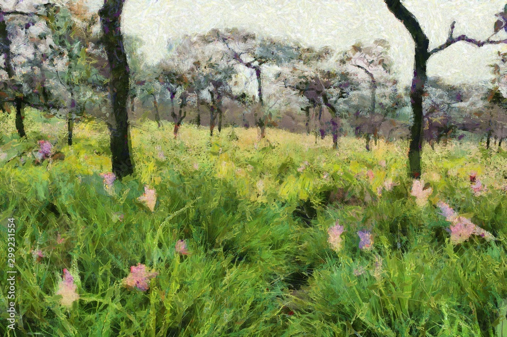 Forest landscape Illustrations creates an impressionist style of painting.