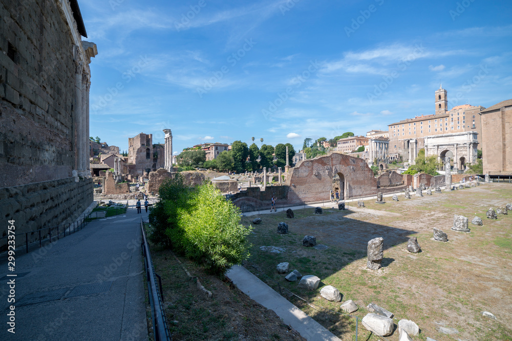  View of the ancient structures of the Roman Forum