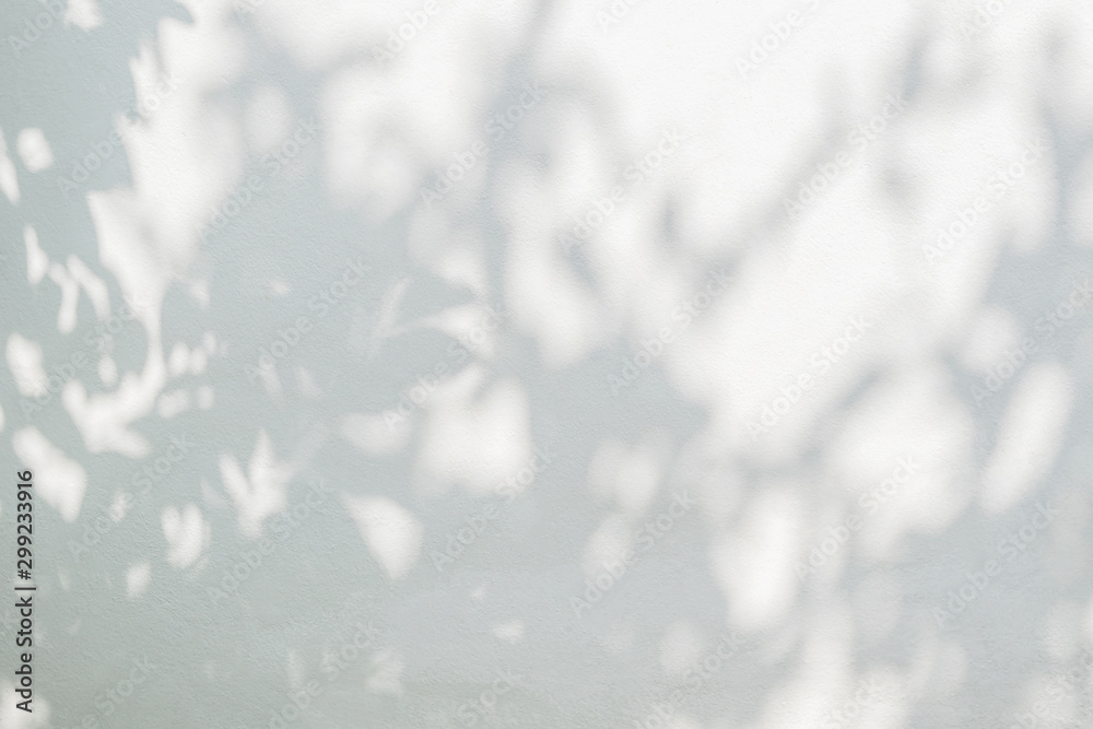 Obraz premium Abstract tree shadow with leaves, tree branch and light shadow bokeh on white wall background