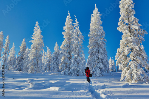 The photographer imprinted the beautiful frosty picture the Landscape Kolyma Arkagala-Pass IMG_3264 photo